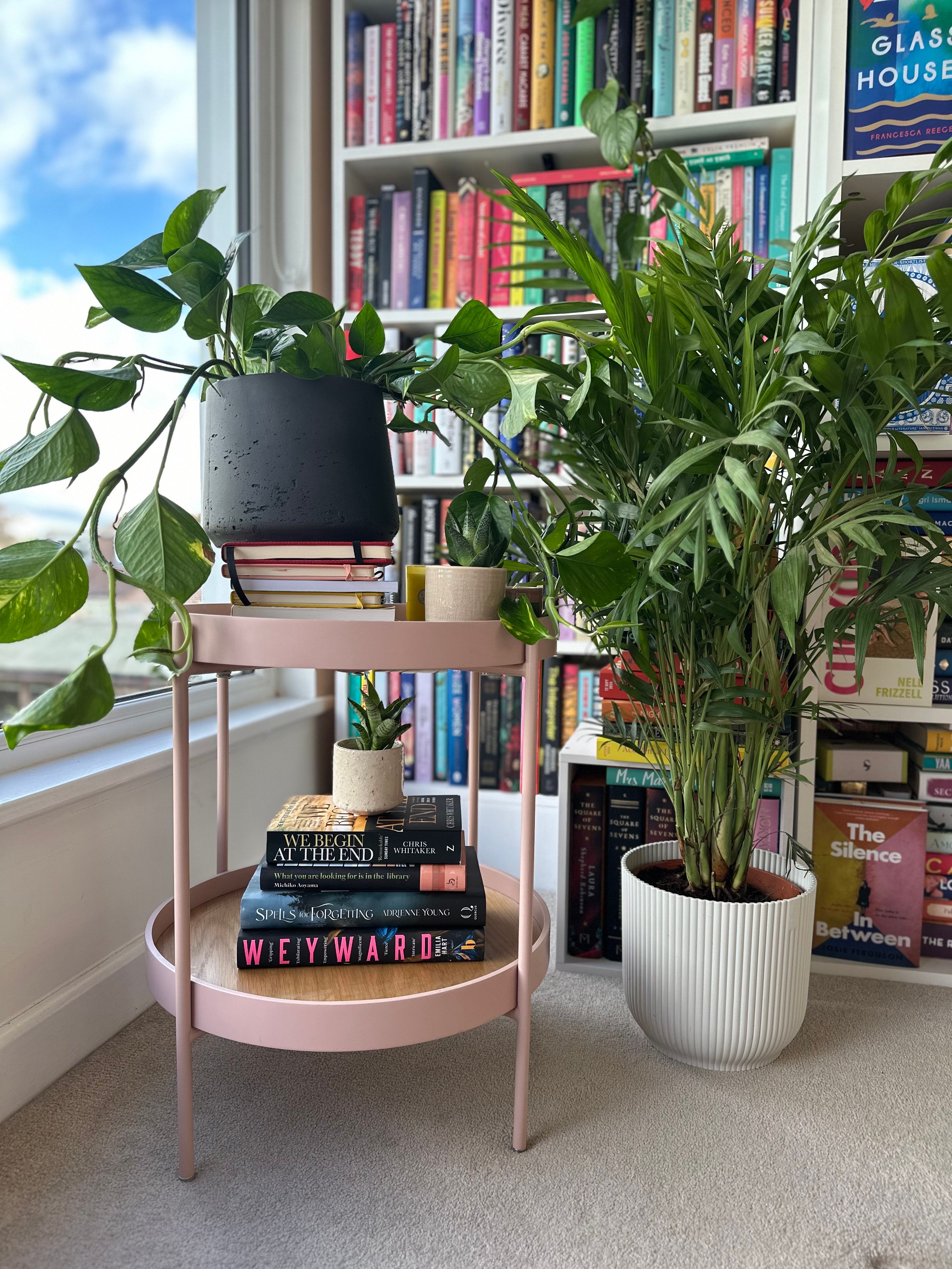 A large plant sits in front of a bookcase, next to a pink side table loaded with books.